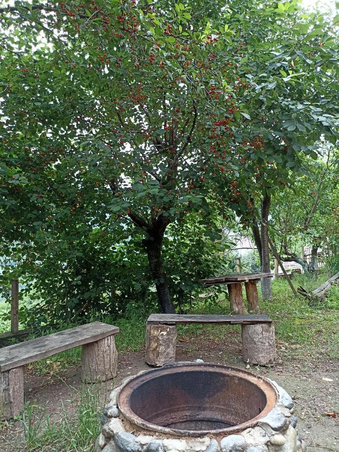 Green Garden Ijevan Exterior photo