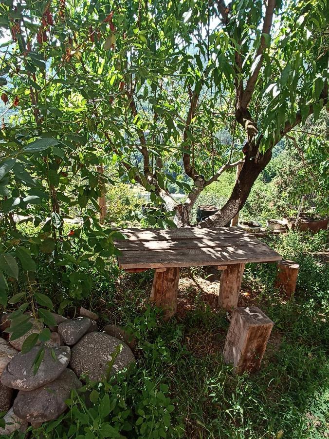 Green Garden Ijevan Exterior photo