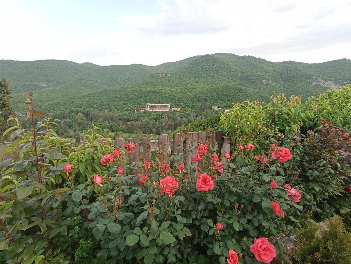 Green Garden Ijevan Exterior photo